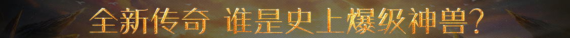 紫雲網